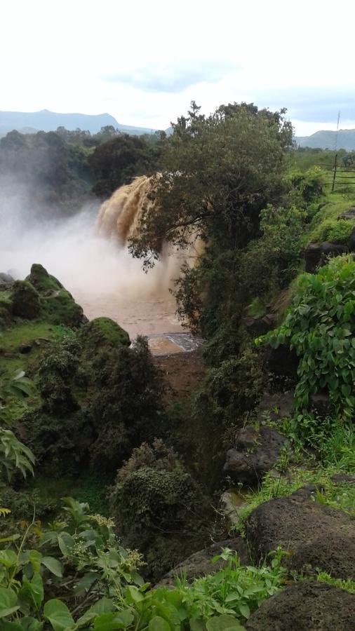 Caron Pension Bahir Dar Bagian luar foto